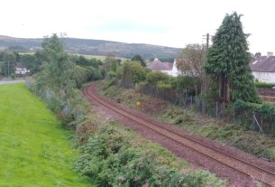 The devastation caused by Network Rail's tree-felling activities