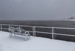 A seagull gliding in the snow off Helensburgh Pier by Kathryn Polley