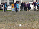 A close up of a seagull sat in the middle of the barren development area of Helensburgh's seafront