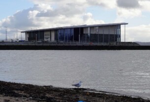 A lone seagull standing on the beach by the river Clyde in Helensburgh's west bay with the pier and leisure centre in the background.