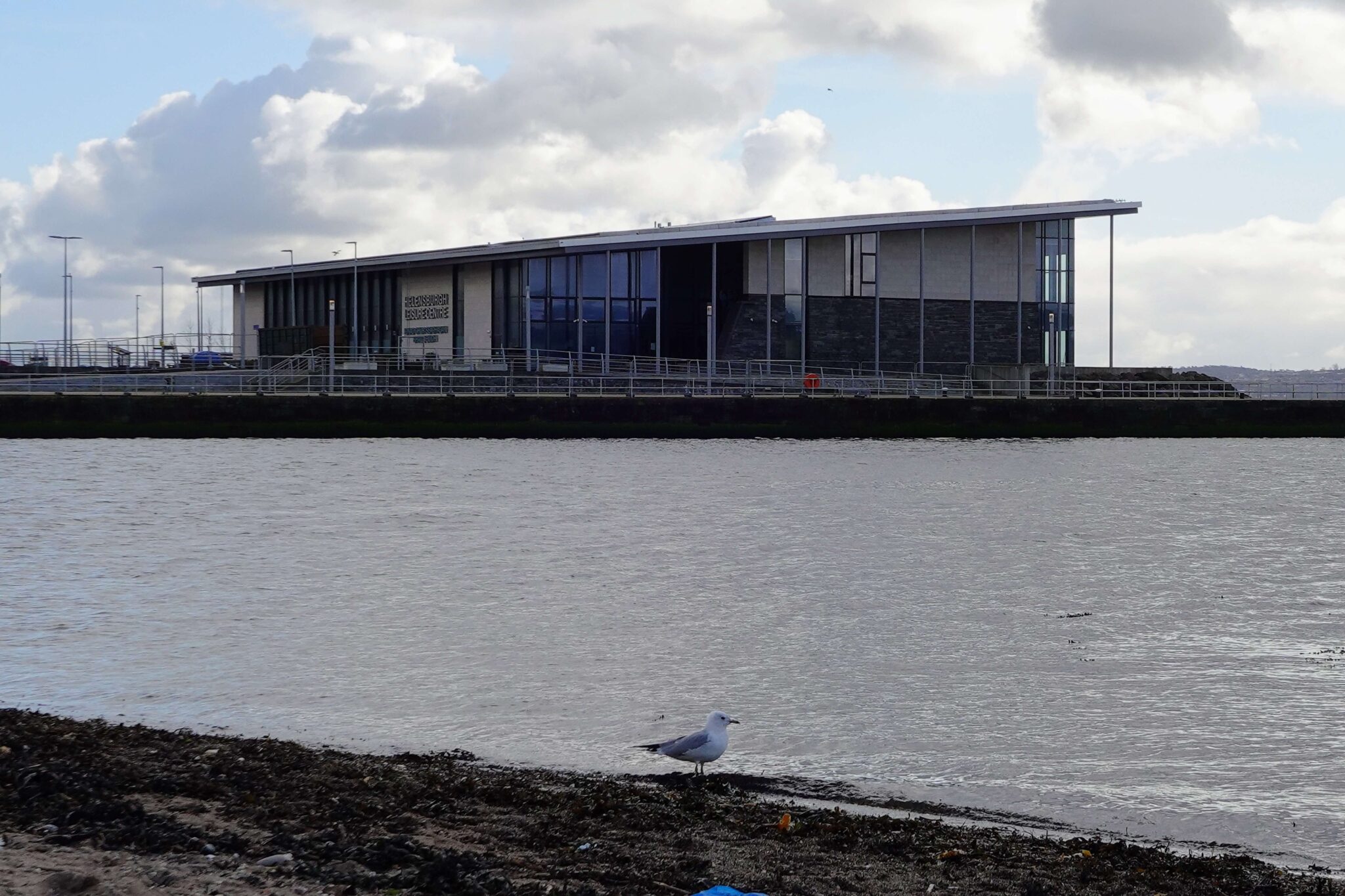 A lone seagull standing on the beach by the river Clyde in Helensburgh's west bay with the pier and leisure centre in the background.